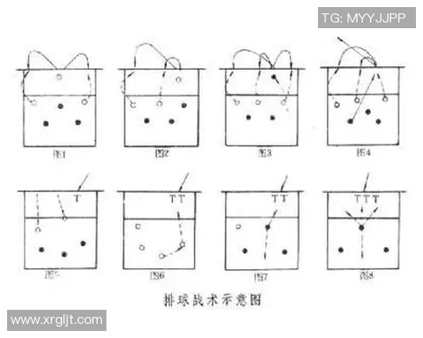 杭州排球队在冠军赛中的节奏表现分析与战术探讨